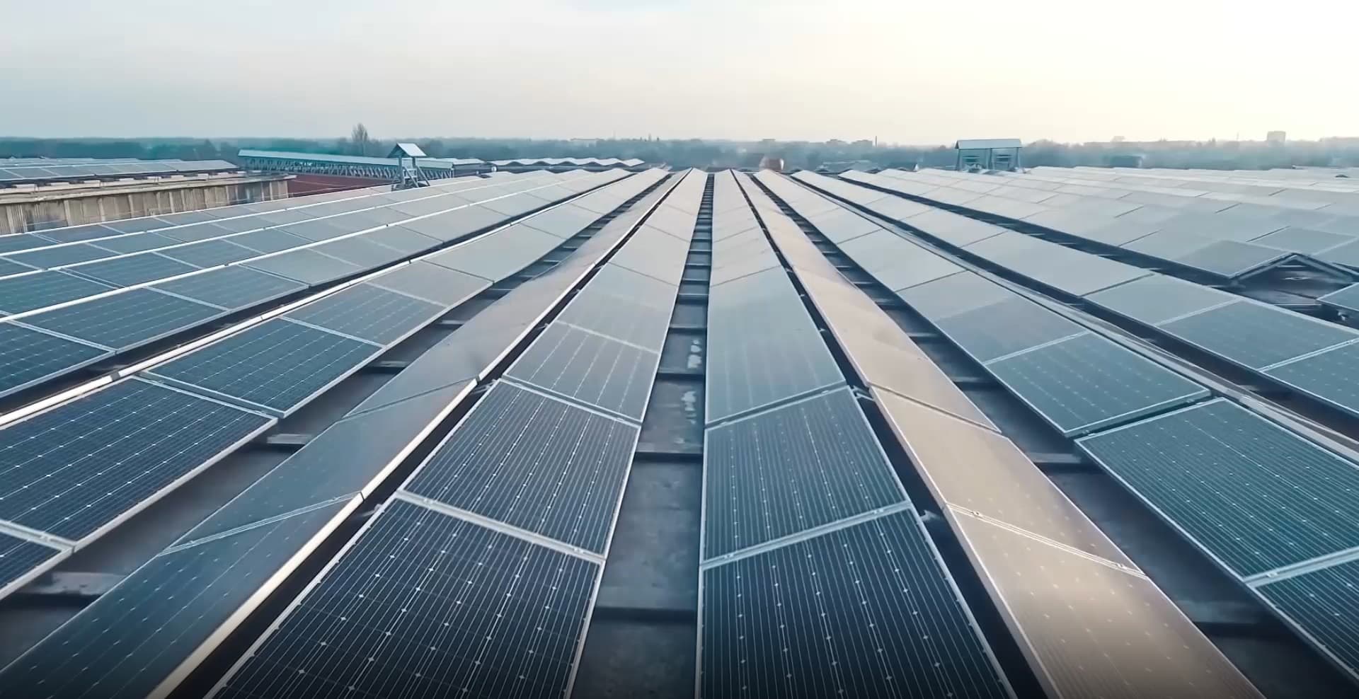 Lange rijen zonnepanelen op het dak van een bedrijfshal onder een lichte hemel